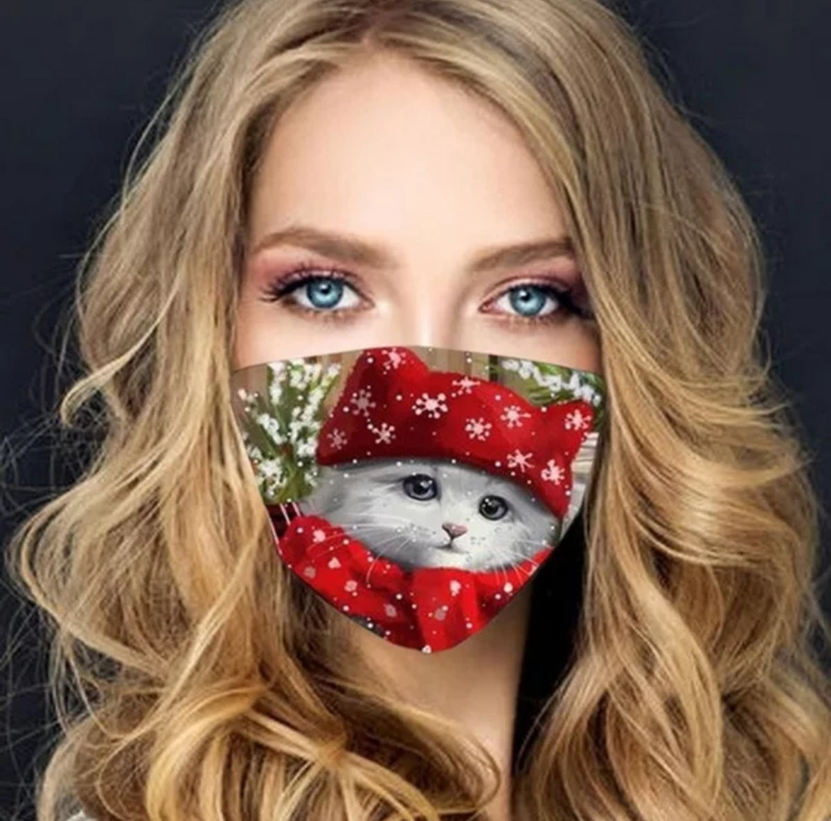 Christmas Face Mask